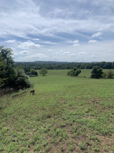 Native Lands Park - Wrightsville, PA