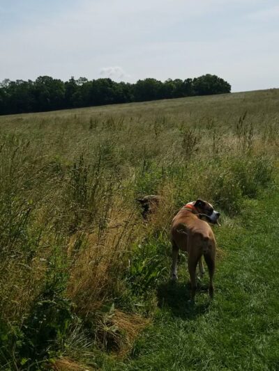 Native Lands Park - Wrightsville, PA