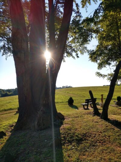 Native Lands Park - Wrightsville, PA
