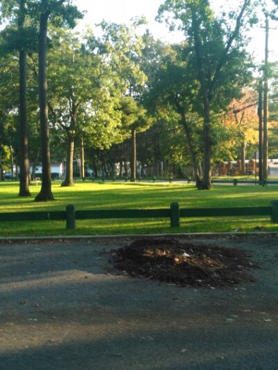 playground, tennis courts - Wyandanch, NY