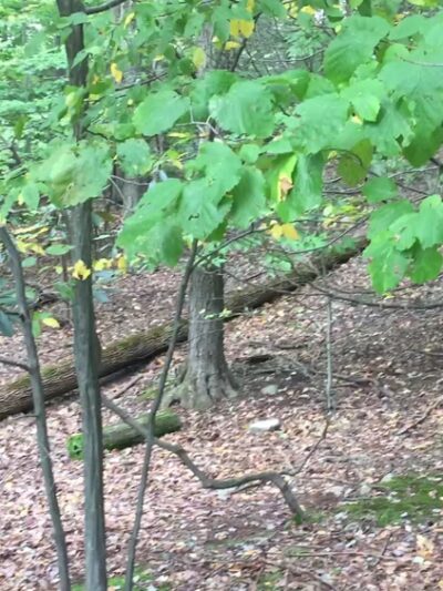J. A. McFaul Environmental Center - Wyckoff, NJ