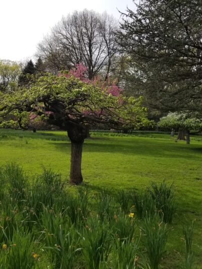 J. A. McFaul Environmental Center - Wyckoff, NJ