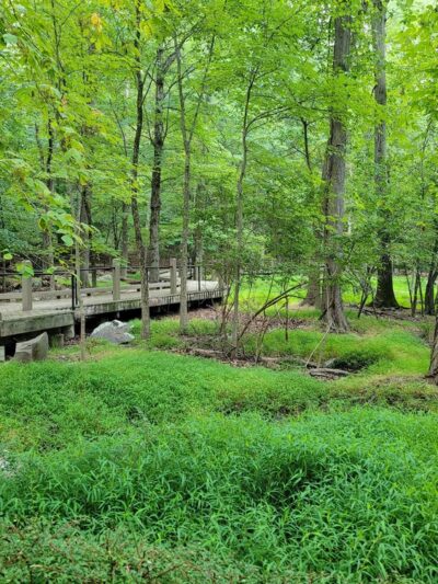 J. A. McFaul Environmental Center - Wyckoff, NJ