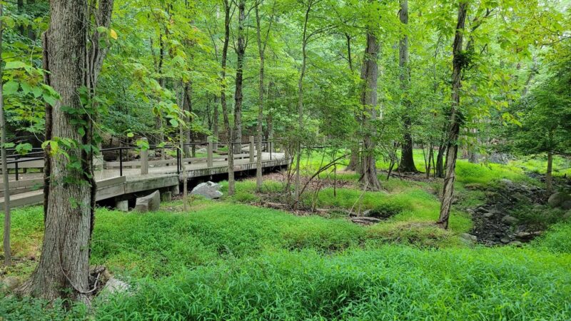 J. A. McFaul Environmental Center - Wyckoff, NJ