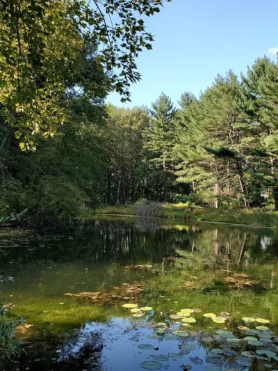 The Gardens of Wyckoff - Wyckoff, NJ