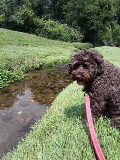 Wyckoff Community Park - Wyckoff, NJ