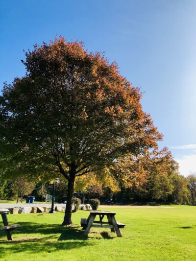 Wyckoff Community Park - Wyckoff, NJ