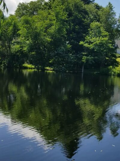 Zabriskie Pond Park - Wyckoff, NJ