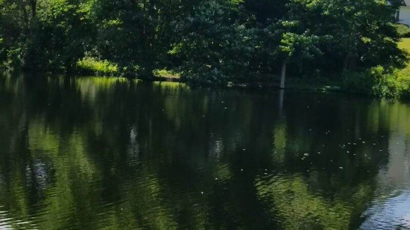 Zabriskie Pond Park - Wyckoff, NJ