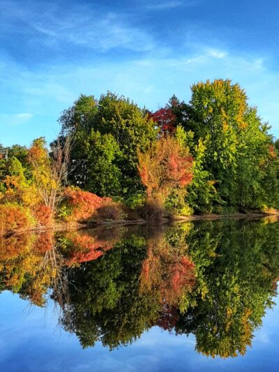 Zabriskie Pond Park - Wyckoff, NJ