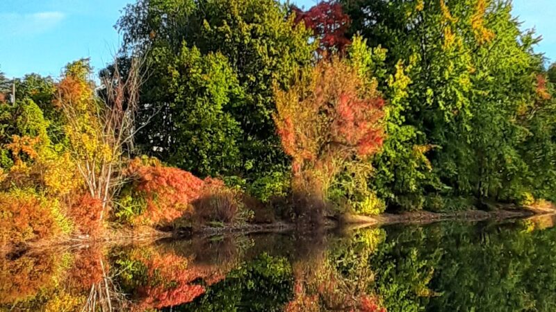 Zabriskie Pond Park - Wyckoff, NJ