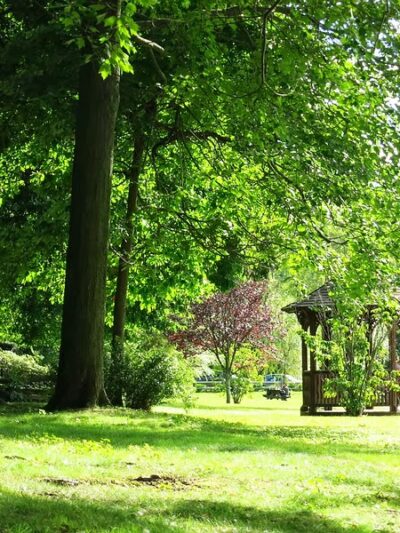 Zabriskie Pond Park - Wyckoff, NJ