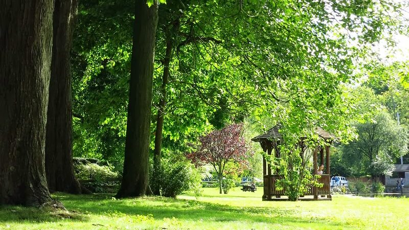 Zabriskie Pond Park - Wyckoff, NJ