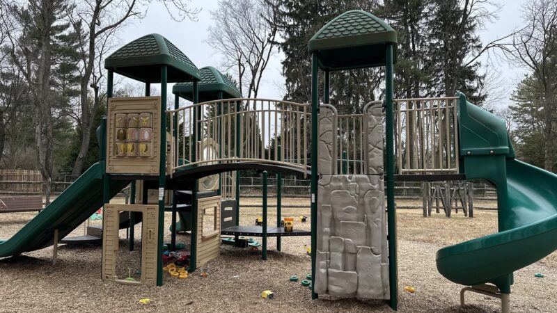 Elephant Park - Wyndmoor, PA