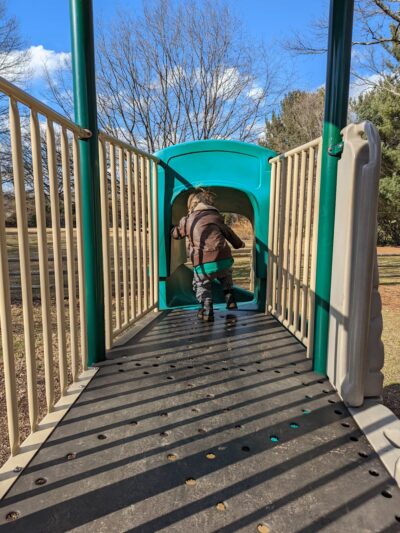 Elephant Park - Wyndmoor, PA