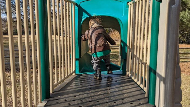 Elephant Park - Wyndmoor, PA