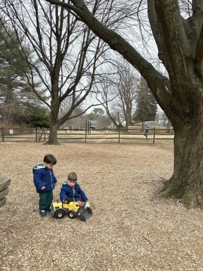 Elephant Park - Wyndmoor, PA