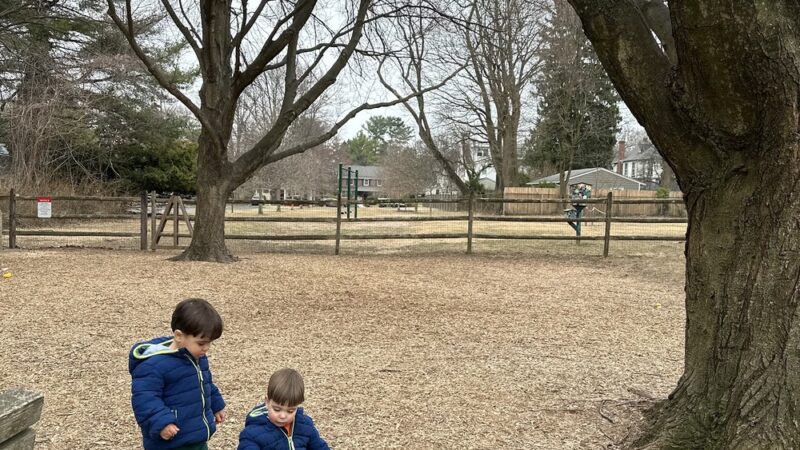 Elephant Park - Wyndmoor, PA