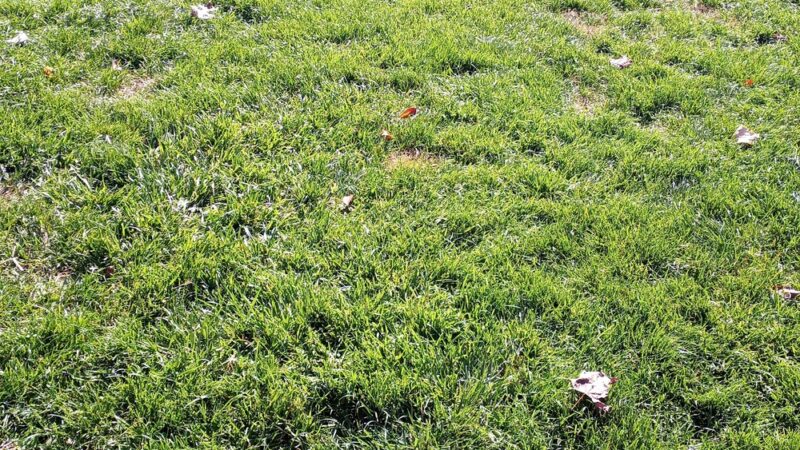 Laurel Beech Park - Springfield Township Montco - Wyndmoor, PA