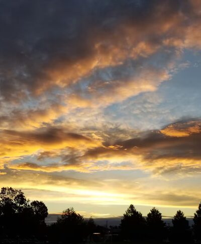 Laurel Beech Park - Springfield Township Montco - Wyndmoor, PA