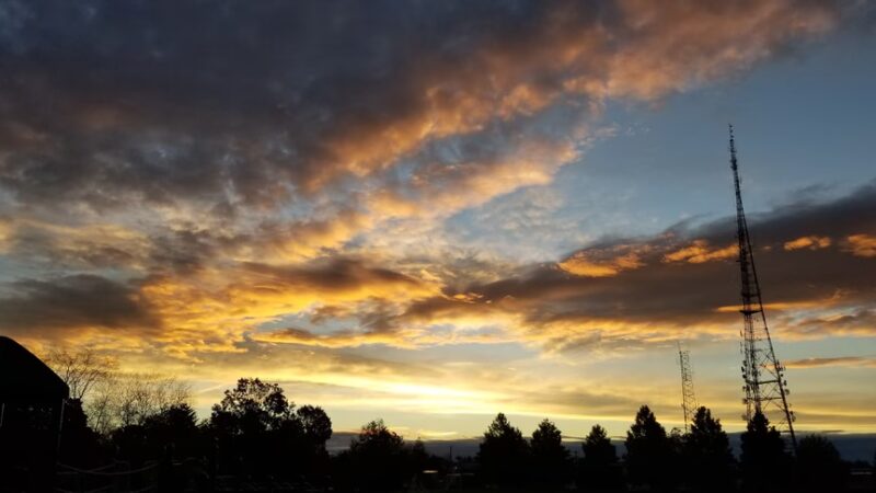 Laurel Beech Park - Springfield Township Montco - Wyndmoor, PA