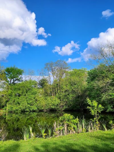 Mermaid Park - Springfield Township Montco - Wyndmoor, PA