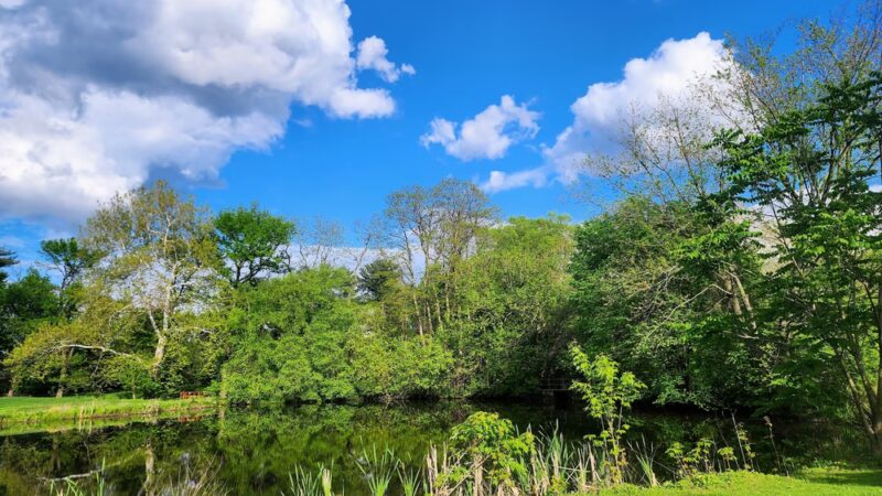 Mermaid Park - Springfield Township Montco - Wyndmoor, PA