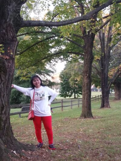 Mermaid Park - Springfield Township Montco - Wyndmoor, PA