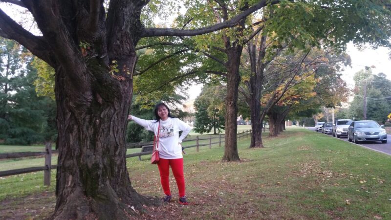 Mermaid Park - Springfield Township Montco - Wyndmoor, PA