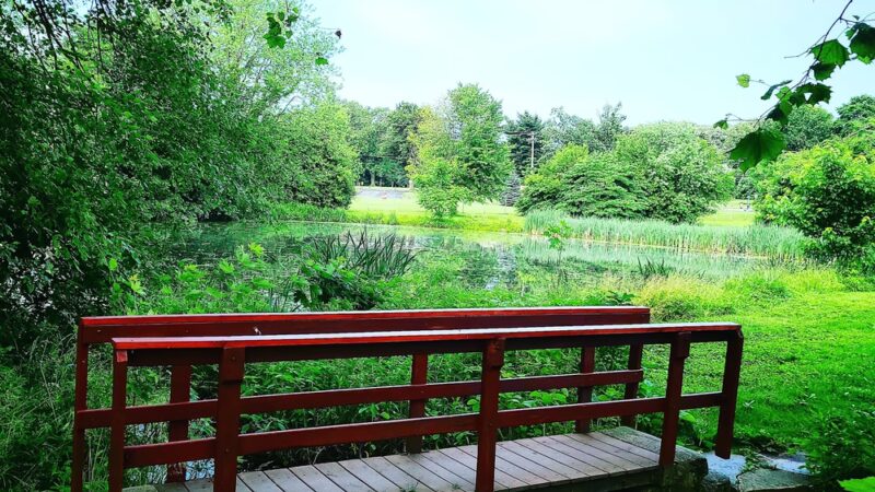 Mermaid Park - Springfield Township Montco - Wyndmoor, PA