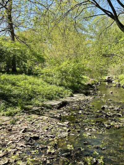 Shortridge Memorial Park - Wynnewood, PA