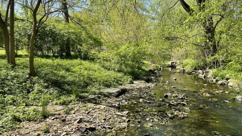 Shortridge Memorial Park - Wynnewood, PA