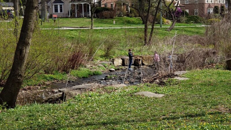 Shortridge Memorial Park - Wynnewood, PA