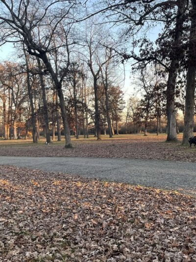 Wyona Park - Wyocena, WI