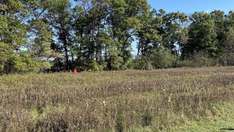 Wyona Park - Wyocena, WI
