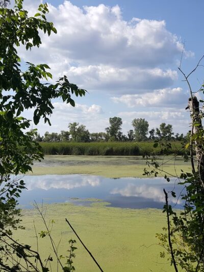 Wyona Park - Wyocena, WI