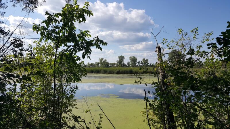 Wyona Park - Wyocena, WI