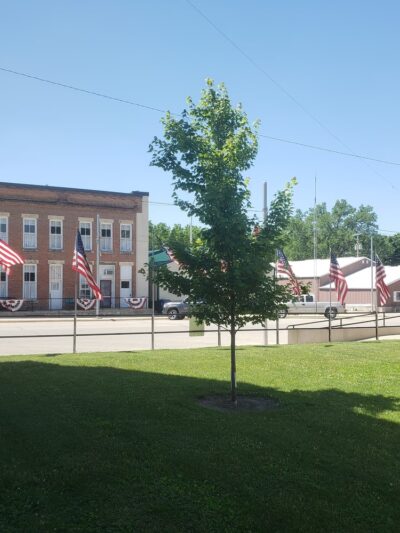 Midway Park - Wyoming, IA