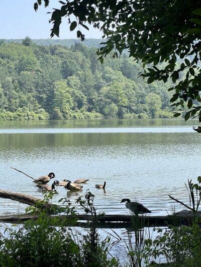 Frances Slocum State Park Campground - Wyoming, PA