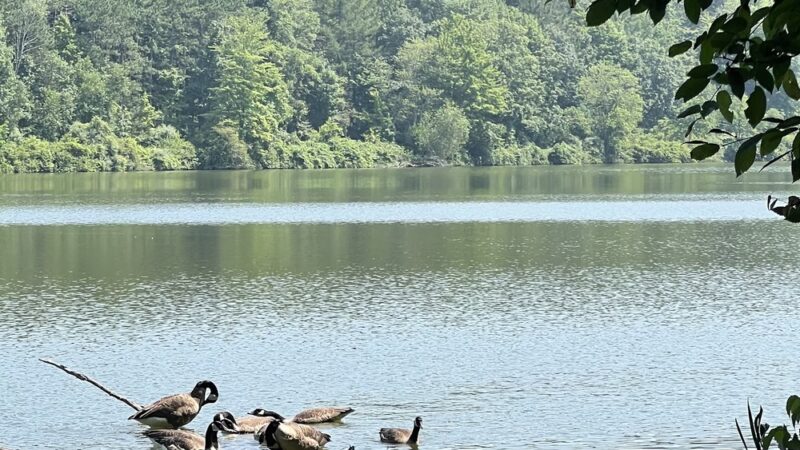 Frances Slocum State Park Campground - Wyoming, PA