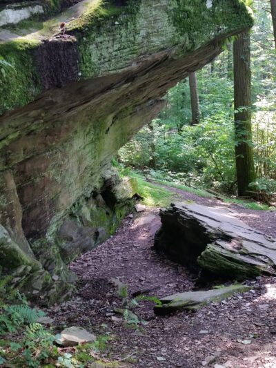 Frances Slocum State Park - Wyoming, PA
