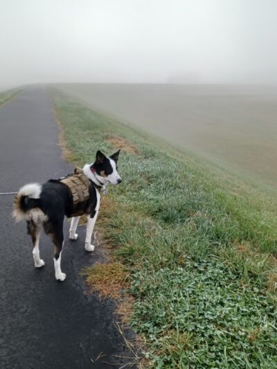 Luzerne County Levee Trail - Wyoming, PA