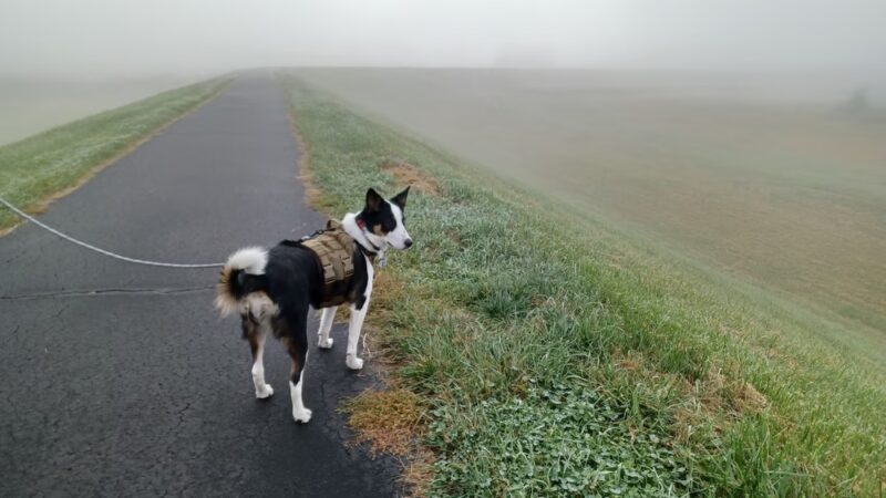 Luzerne County Levee Trail - Wyoming, PA
