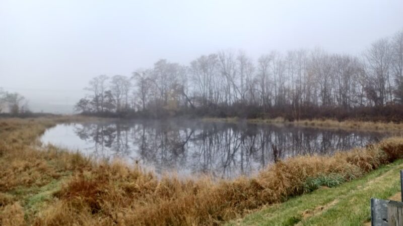 Luzerne County Levee Trail - Wyoming, PA