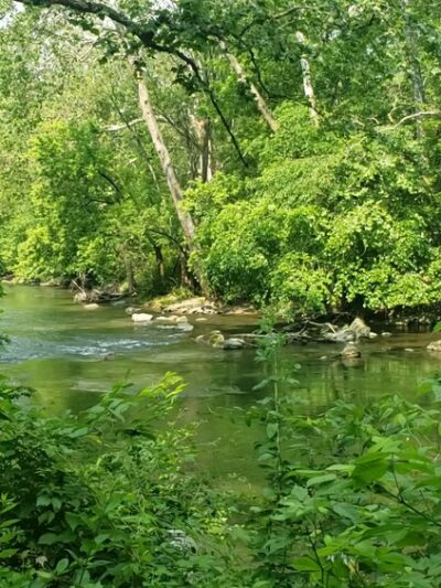 Berks Leisure Area - Wyomissing, PA