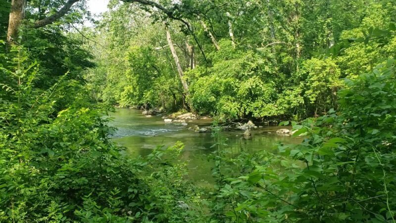 Berks Leisure Area - Wyomissing, PA