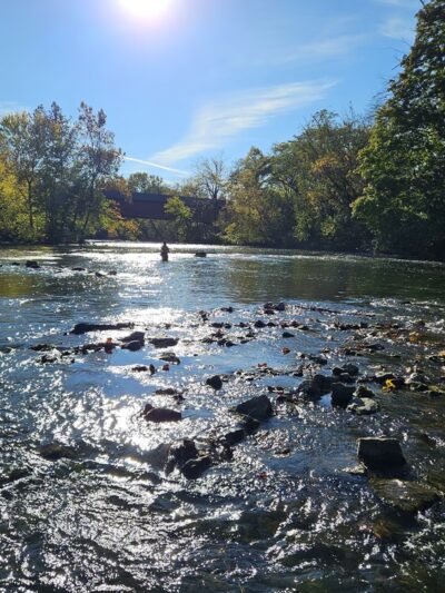 Wertz's Red Bridge Recreational Area - Wyomissing, PA