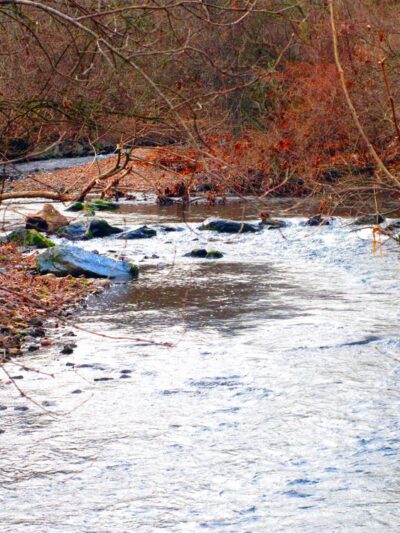 Wyomissing Creek Parking - Wyomissing, PA