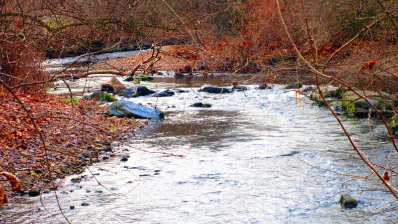 Wyomissing Creek Parking - Wyomissing, PA