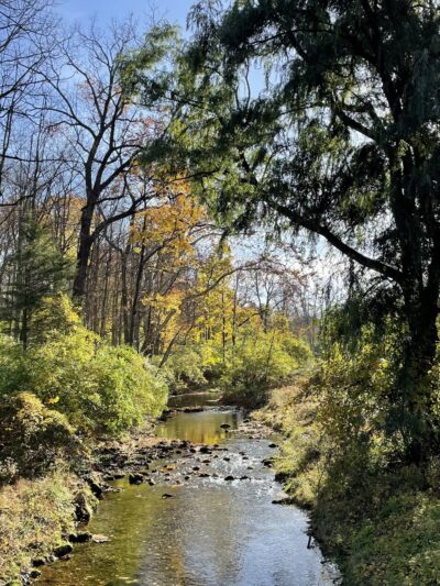 Wyomissing Park System Picnic Area - Wyomissing, PA